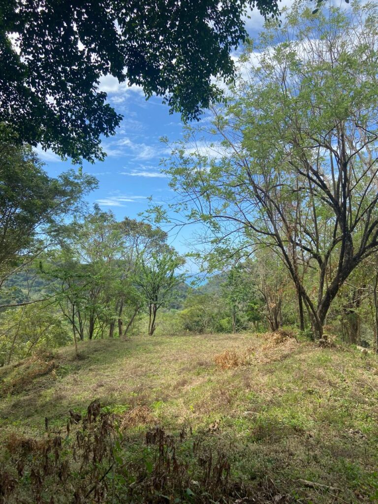 WhatsApp Image 2025-02-05 at 12.49.53