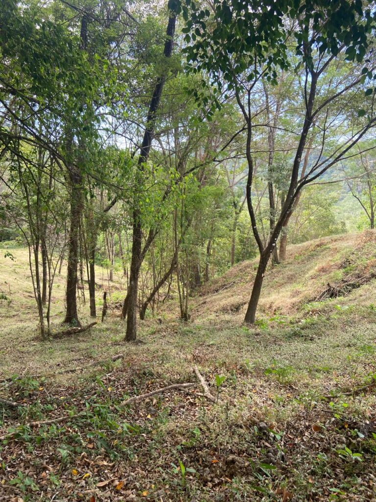 WhatsApp Image 2025-02-05 at 12.49.54