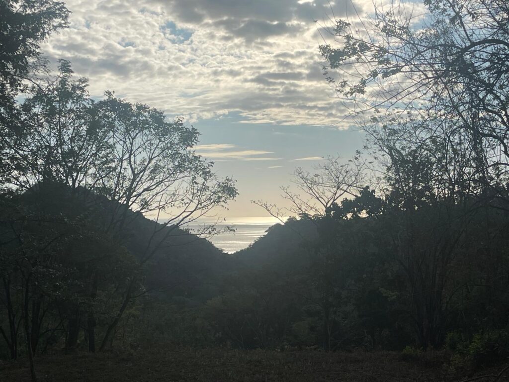 WhatsApp Image 2025-02-13 at 05.54.49