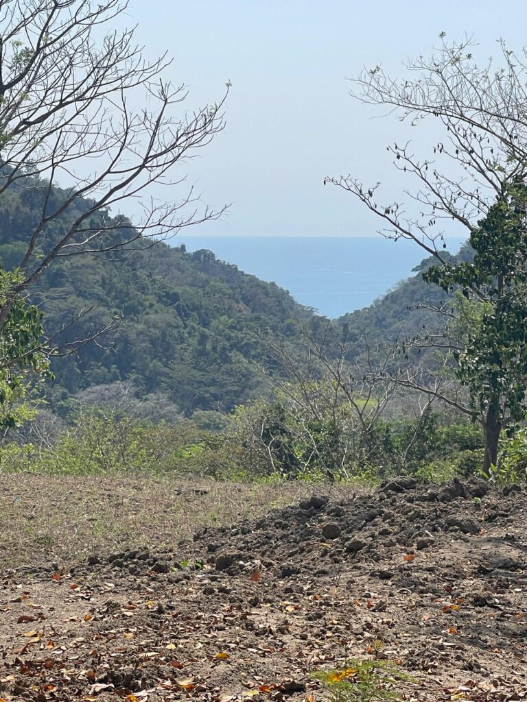 WhatsApp Image 2025-04-02 at 10.51.34