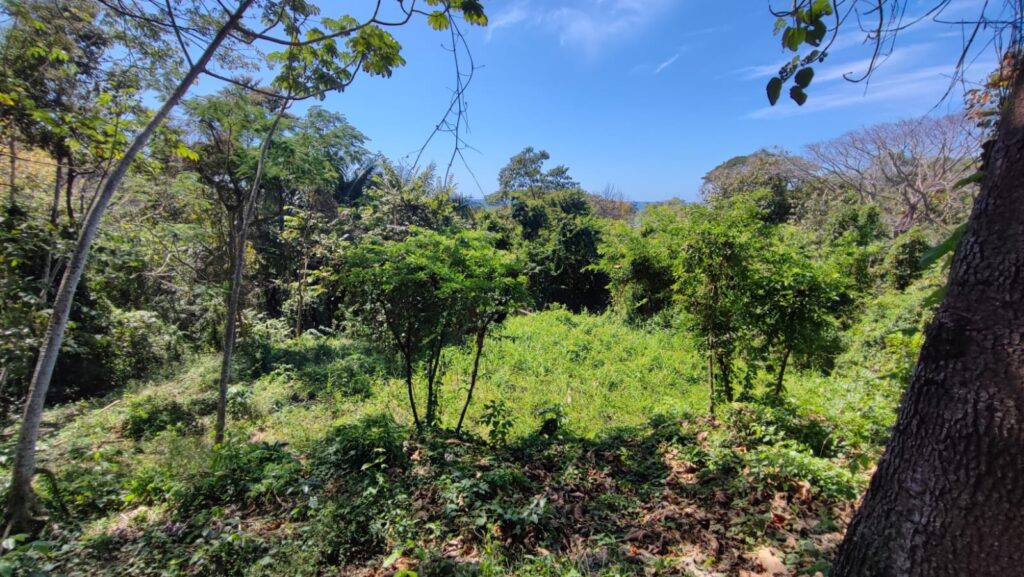 WhatsApp Image 2025-05-19 at 12.10.03