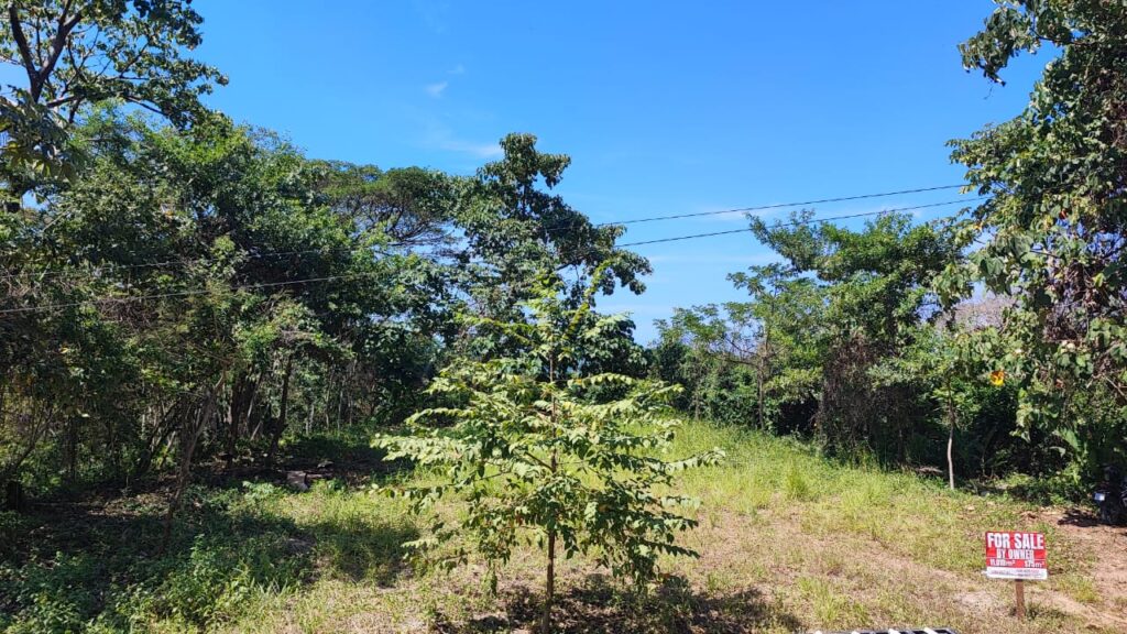 WhatsApp Image 2025-05-19 at 12.10.03 (2)