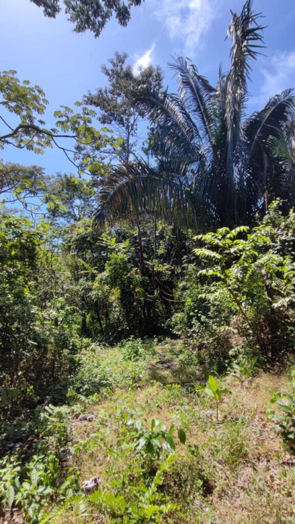 WhatsApp Image 2025-05-19 at 14.13.54 (2)