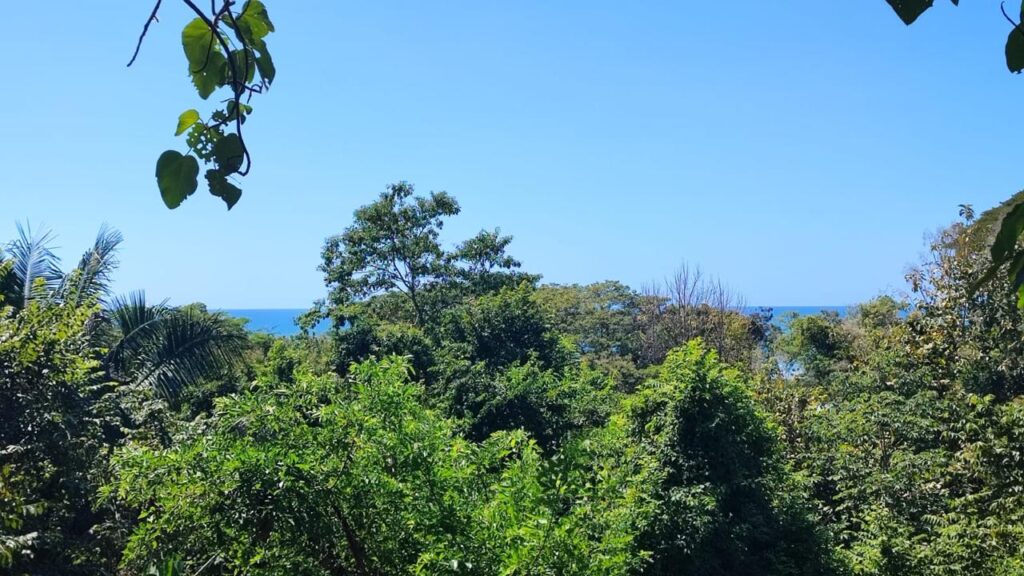 WhatsApp Image 2025-05-19 at 14.13.54 (3)