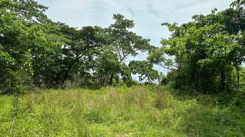 WhatsApp Image 2025-05-20 at 12.36.36 (1)