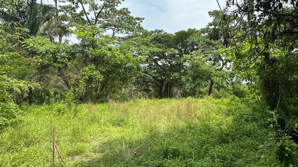 WhatsApp Image 2025-05-20 at 12.36.36