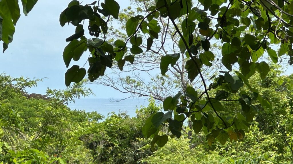 WhatsApp Image 2025-05-20 at 12.36.36 (2)