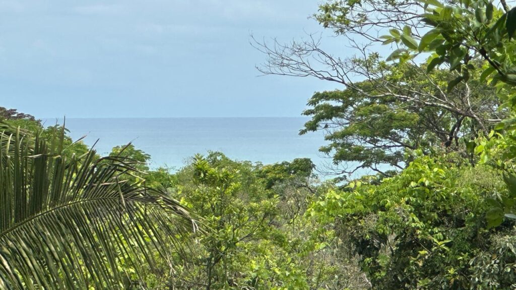 WhatsApp Image 2025-05-20 at 12.36.36 (3)