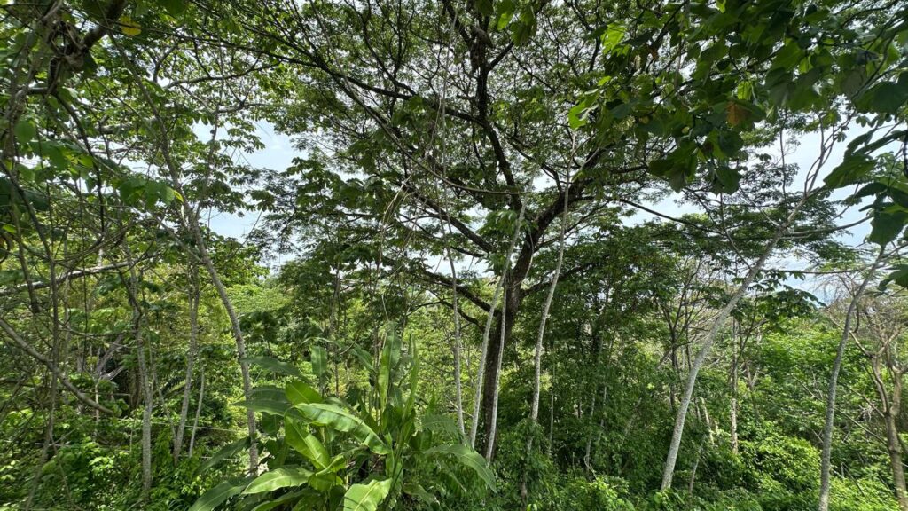 WhatsApp Image 2025-05-20 at 12.36.37 (1)