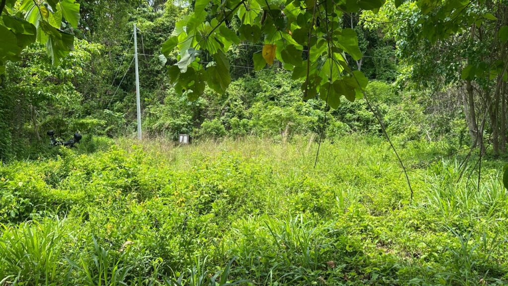 WhatsApp Image 2025-05-20 at 12.36.37