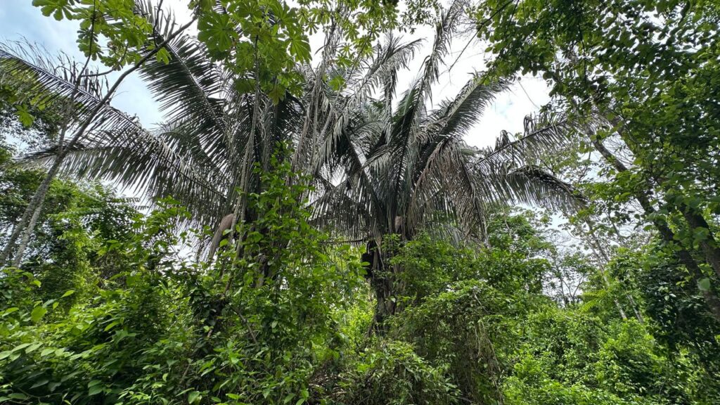 WhatsApp Image 2025-05-20 at 12.36.37 (2)