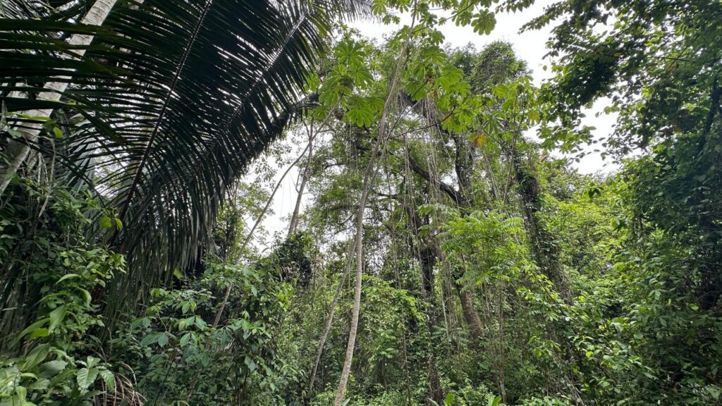 WhatsApp Image 2025-05-20 at 12.36.37 (3)