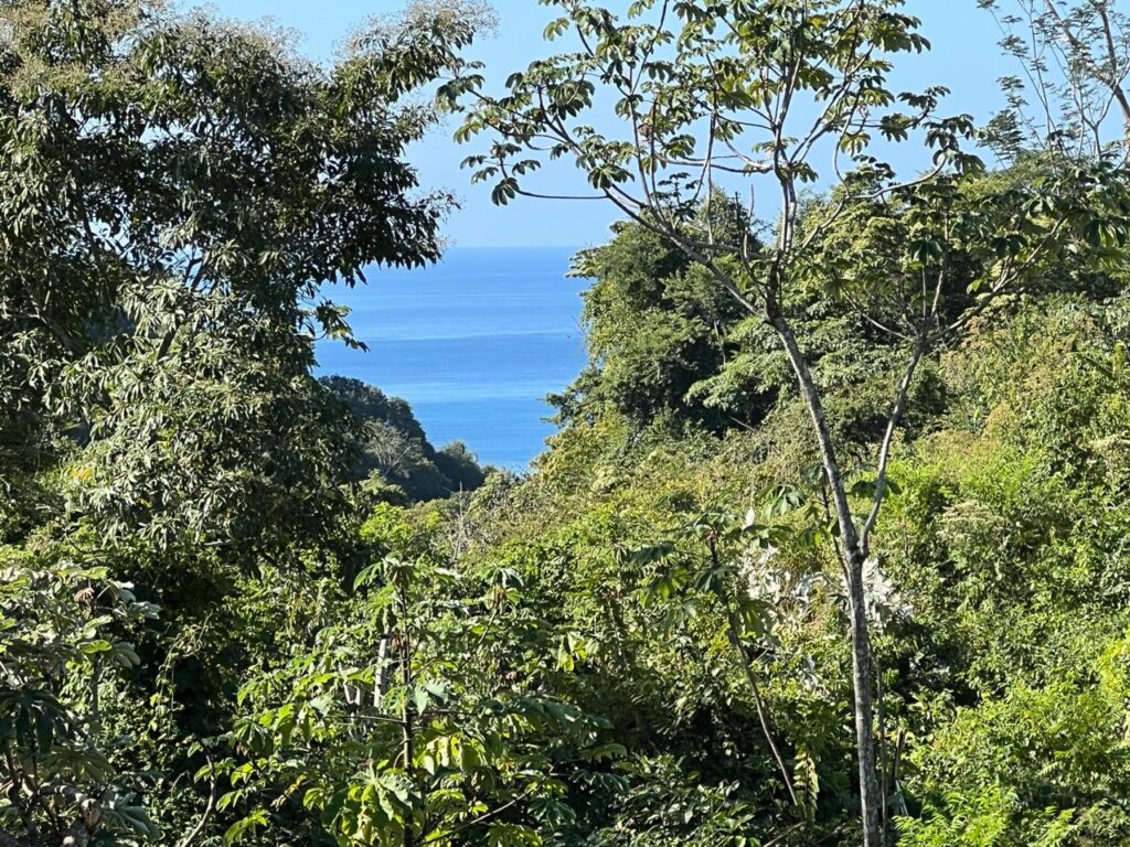 WhatsApp Image 2026-03-30 at 10.02.06