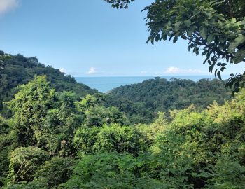 IMG_20221110_080141481_HDR