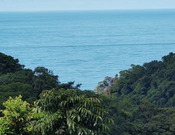 IMG_20221110_080147947