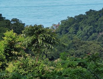 IMG_20221110_080210310