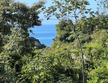 WhatsApp Image 2026-03-30 at 10.02.06